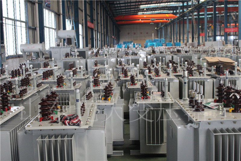 灵川S22-800KVA/10KV